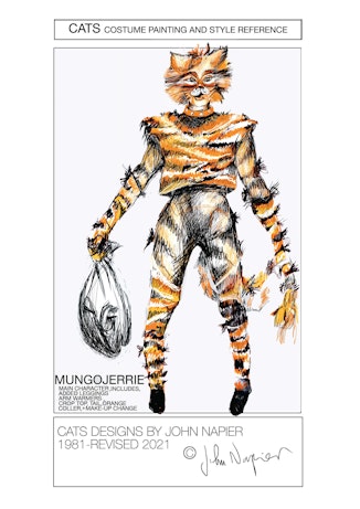 CATS costume painting and style reference - Mungojerrie